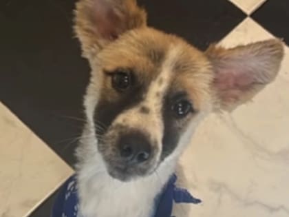 Lucky se encuentra en Istmina, Chocó, donde espera avanzar con el tratamiento que necesita