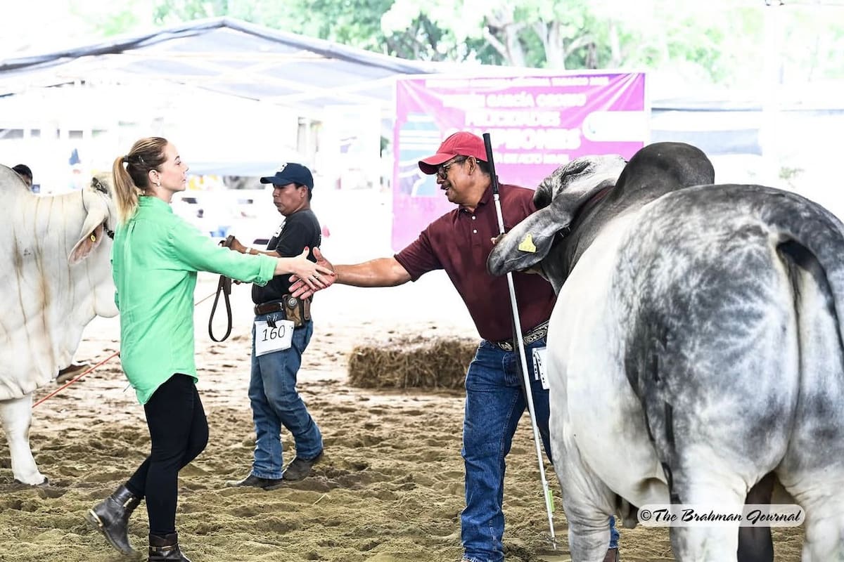 Lucyana durante una jura en pista: ya evaluó animales en once países