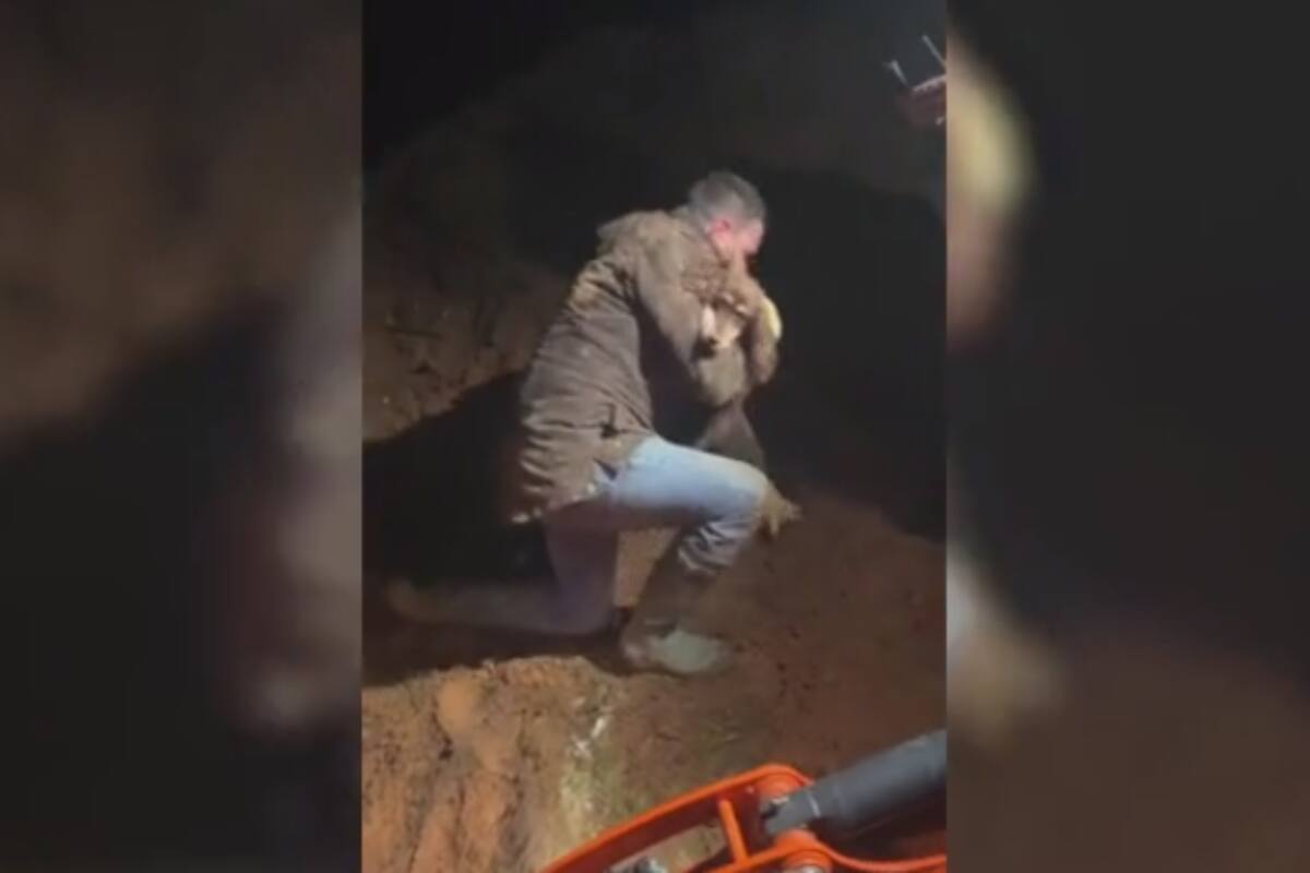 Luego de buscarlo por 30 horas, un hombre encontró a su perro sordo en la madriguera de un conejo. El emotivo video del reencuentro se volvió viral