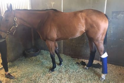 Luego de dos días desaparecida, Belvoir Bay fue encontrada y llevada a una clínica para ser tratada de las quemaduras