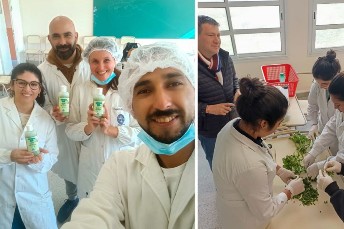 Luego de haber recolectado el material vegetal, el grupo de estudiantes se encargó de la elaboración de 20 kilos de gel en el laboratorio de la escuela, que fue distribuido entre la población local durante octubre y noviembre