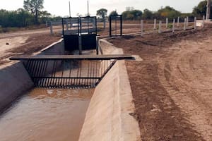 Controversia por un canal de agua que no contempla la protección de la fauna