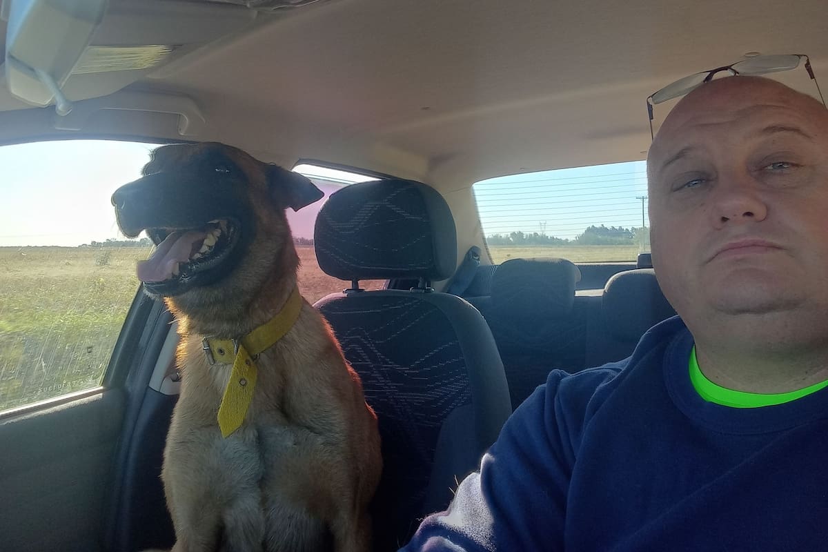 Luego de la intensa búsqueda, Regonat compartió una imagen de la primera vez que su perro se volvió a su auto tras el reencuentro