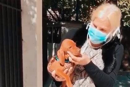 Luego de la polémica, Rita, la cachorra comprada en un criadero volvió a la casa de Susana Giménez