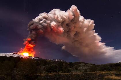 Luego de que una expedición científica encontrara dos especies de tiburones “viviendo en el cráter”