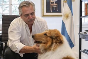 Luego de que "Wado" de Pedro y otra decena de funcionarios pusieran su renuncia a disposición de Alberto Fernández los usuarios propusieron a Dylan como ministro