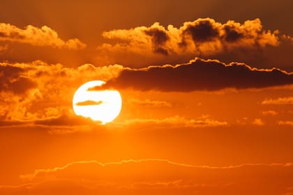 Luego de un martes de temperaturas récord, los especialistas nos aconsejan cuáles son los pasos a seguir.