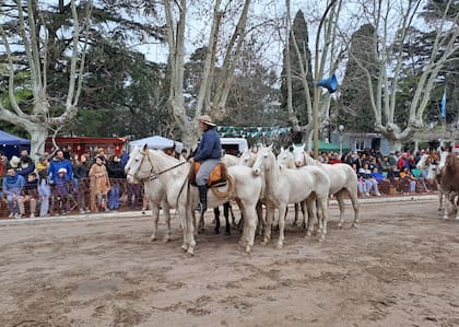 Luego del desfile, hay un entrevero de tropillas que gusta mucho a la gente que participa del evento popular