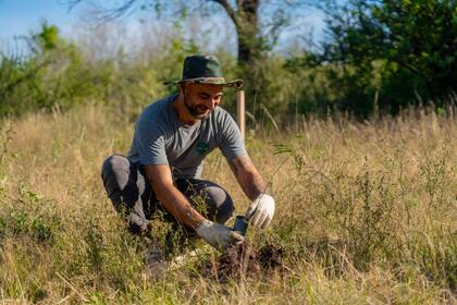 Luego del sueño inicial, el siguiente paso para Baum es expandirse a otras provincias del centro y el norte del país