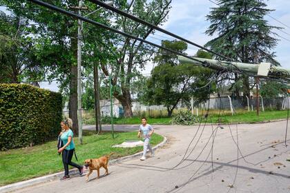 Luego del temporal, varios barrios del partido de Pilar estuvieron varios días sin servicios de energía eléctica y con las calles obstruidas por los árboles caídos