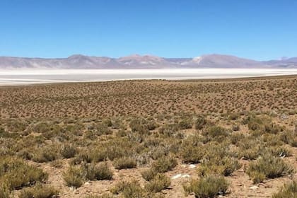 Lugares como Olaroz Cauchari dependen económicamente cada vez más de las empresas mineras