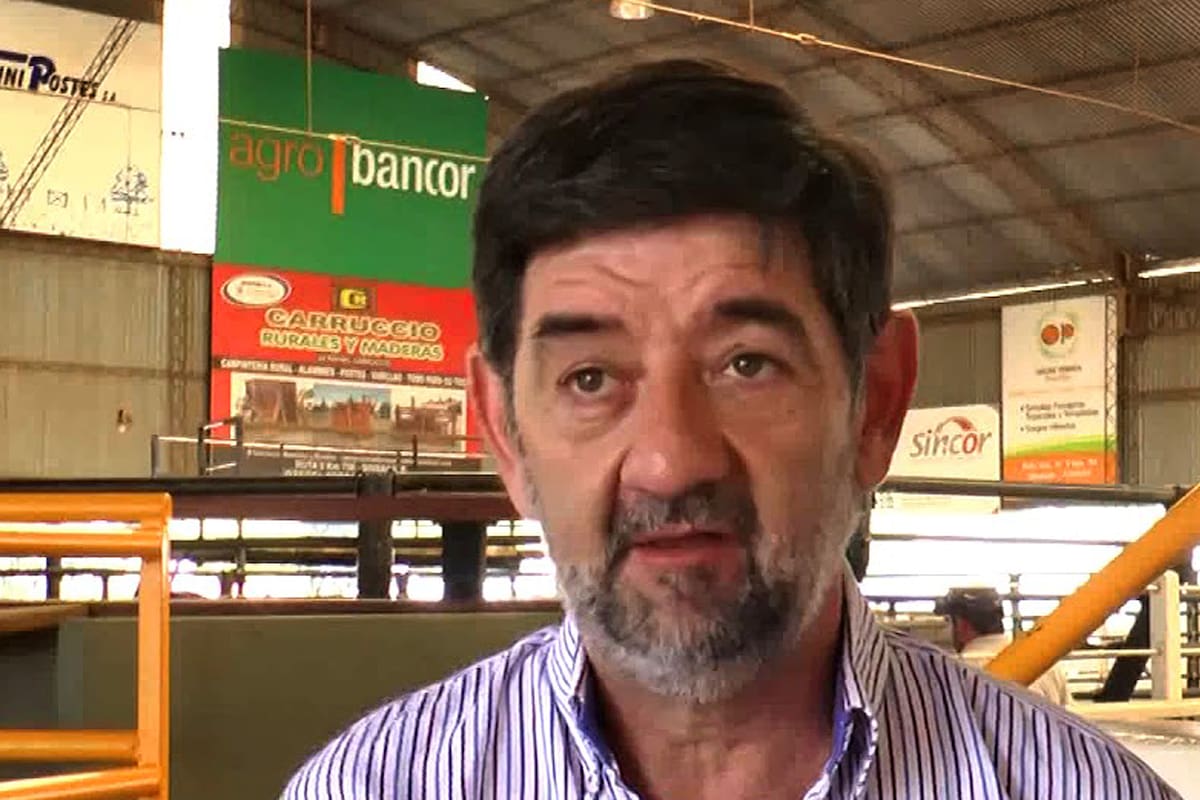 Luis Magliano