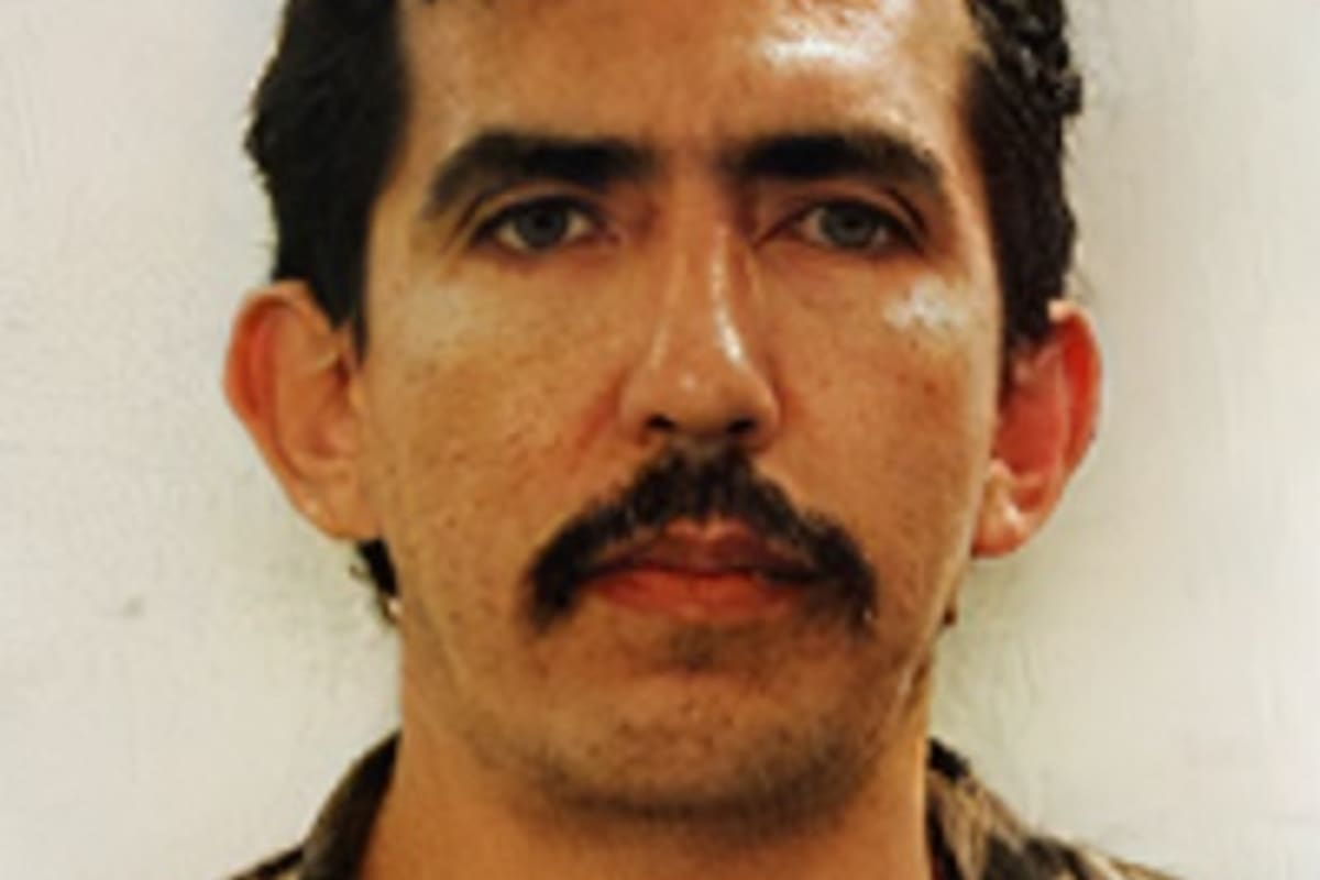 Luis Alfredo Garavito, La Bestia