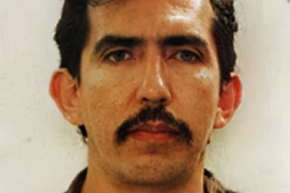 Luis Alfredo Garavito, La Bestia