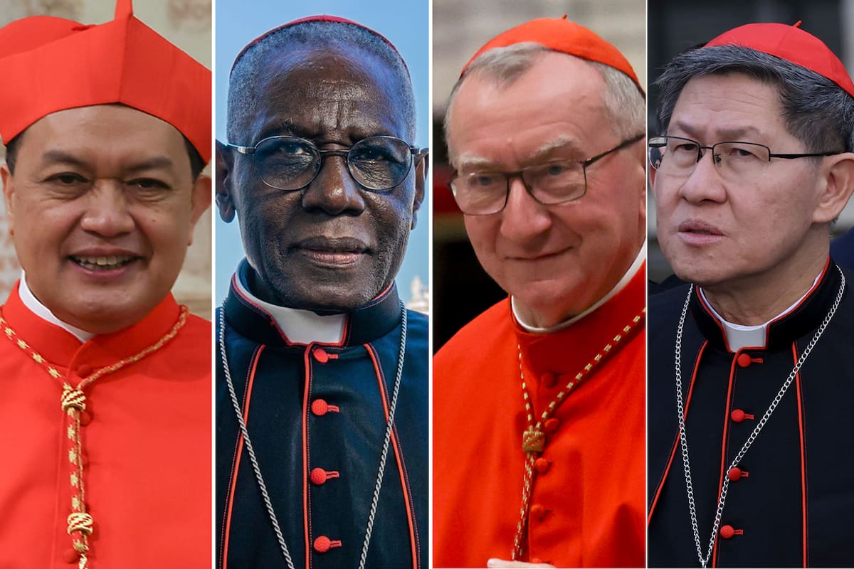 Luis Antonio Gokim Tagle (Filipinas, 67 años);
Pietro Parolin (Italia, 70 años);
Robert Sarah (Guinea, 79 años);
Pablo Virgilio David (Filipinas, 65 años);
