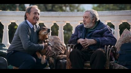 Luis Brandoni apareció en un capítulo en El encargado, protagonizada por Guillermo Francella