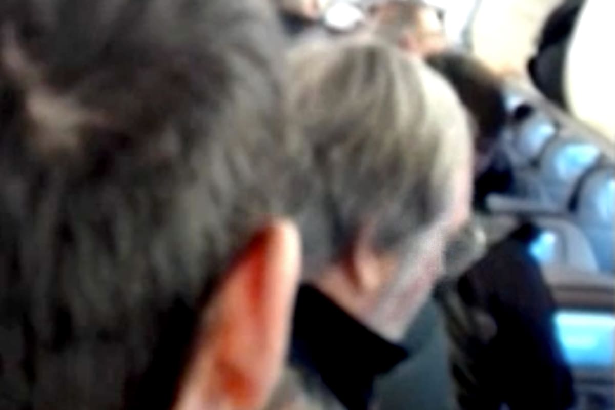Luis Brandoni en el avión