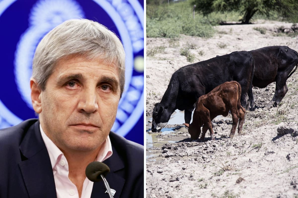 Luis Caputo homologó la emergencia por sequía para el norte de Santa Fe