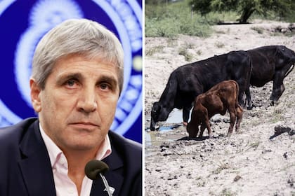 Luis Caputo homologó la emergencia por sequía para el norte de Santa Fe