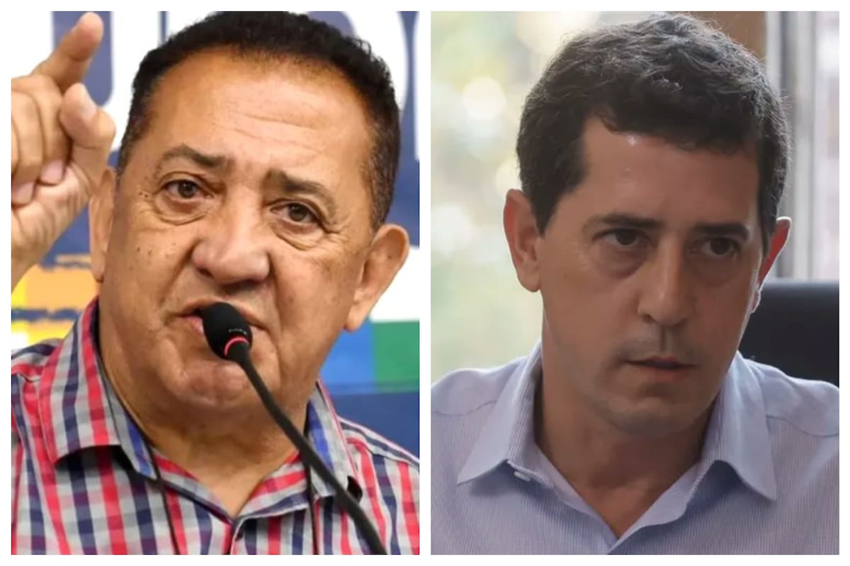 Luis D'elia cuestionó a Wado de Pedro.