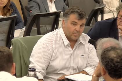 Luis "Freddy" Simone, representante del sector de contratistas rurales expone en un plenario de comisiones de Asuntos Constitucionales y de Comercio, de la Cámara de Diputados