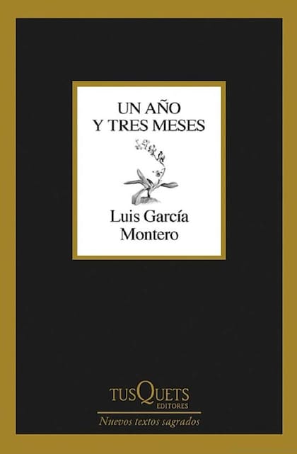 Luis García Montero: "La política es una forma de sacar al espacio público lo que es normal en el amor"
