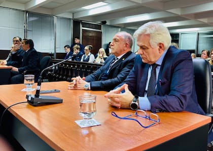 Luis Juez y Alberto Maques, los consejeros acusadores