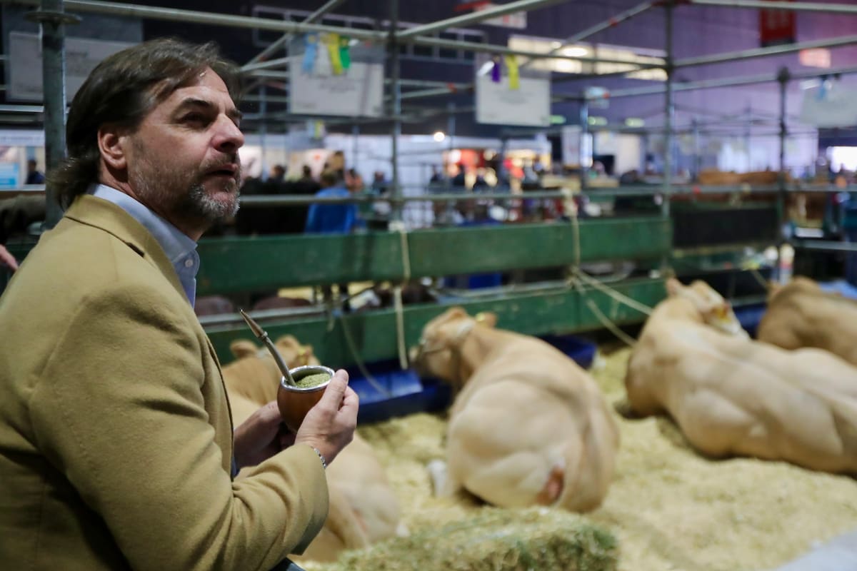 Luis Lacalle Pou, en la exposición de La Rural, en Palermo