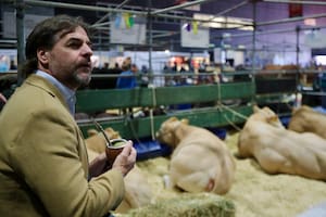 Luis Lacalle Pou, en la exposición de La Rural, en Palermo