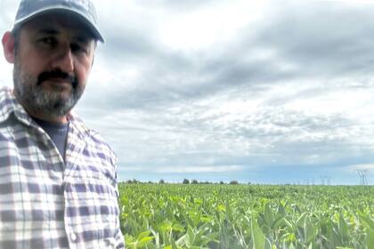 Luis Martinelli, productor de granos en Roldán, provincia de Santa Fe
