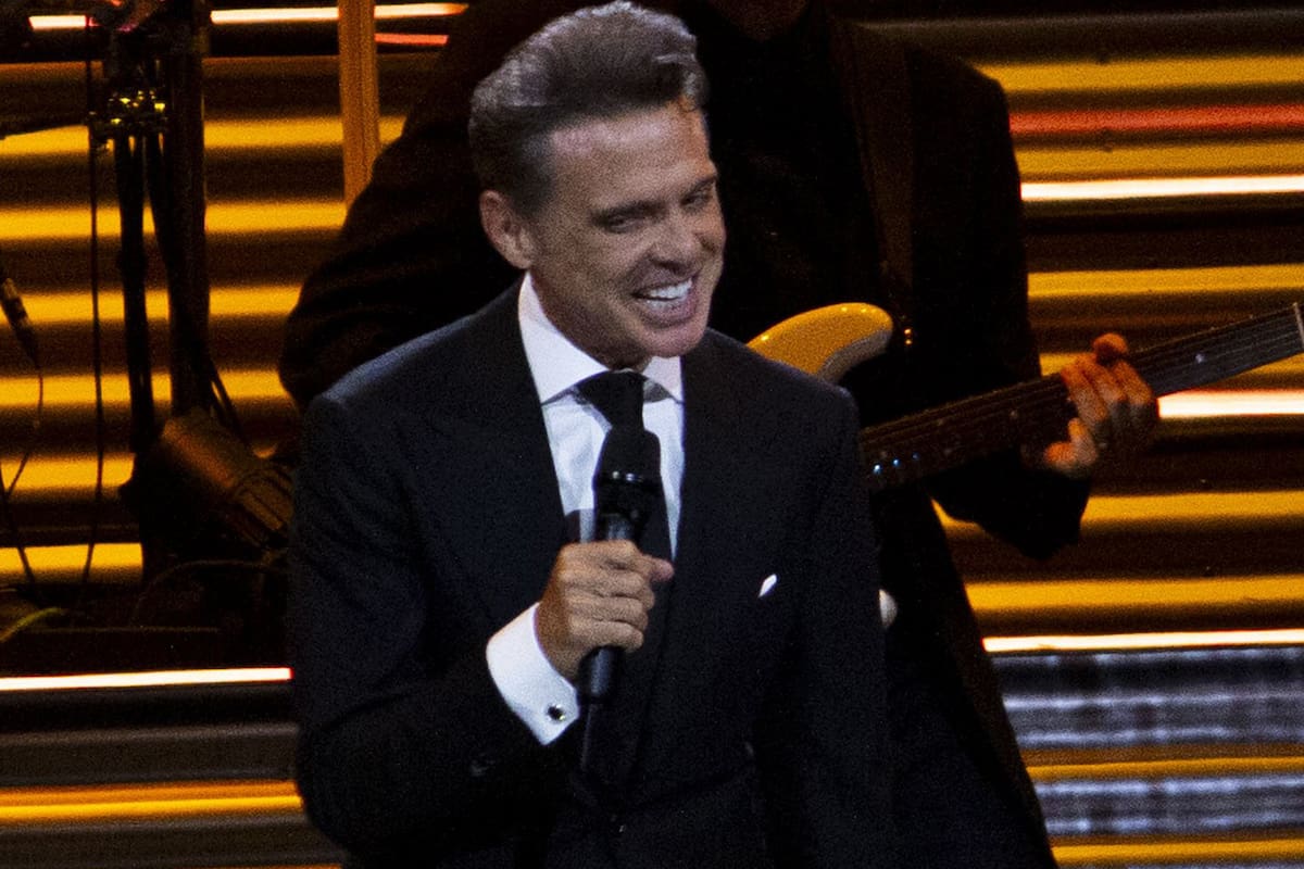 Luis Miguel sintió un fuerte dolor en pleno show y causó preocupación (Archivo)