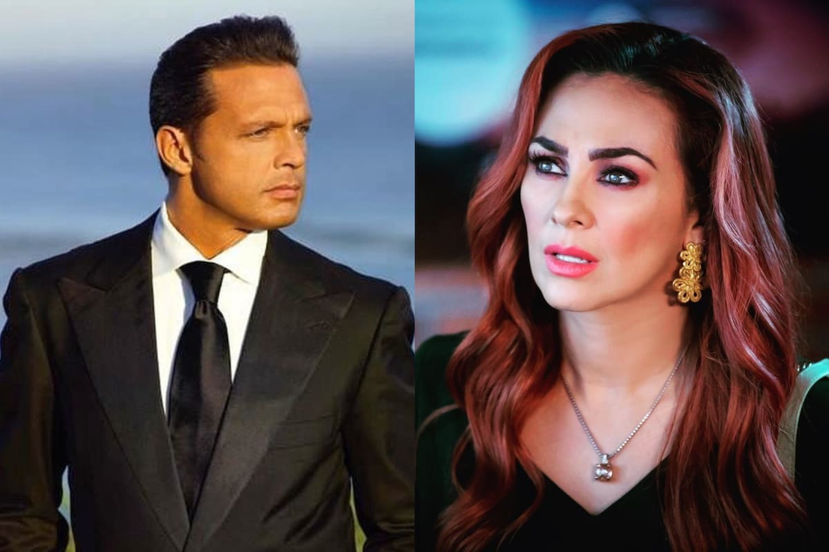 Luis Miguel y Aracely Arámbula se separaron en 2009.