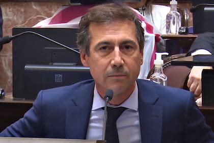 Luis Naidenoff buscará renovar otra vez su banca a senador por Formosa