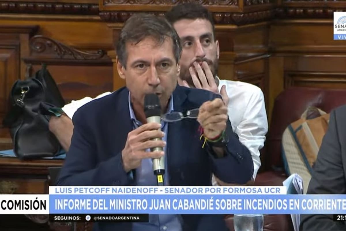 Luis Naidenoff criticó con dureza a Juan Cabandié en el Senado