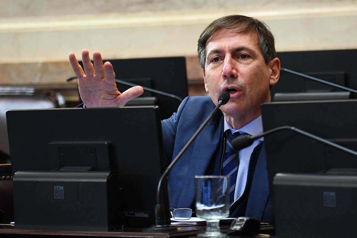 Luis Naidenoff en la sesión del Senado de la Nación en la que se trató el retiro de proyectos para modificar la ley del Ministerio Público, el 29 de octubre 2020