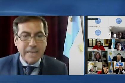 Luis Naidenoff planteó su rechazo a la medida
