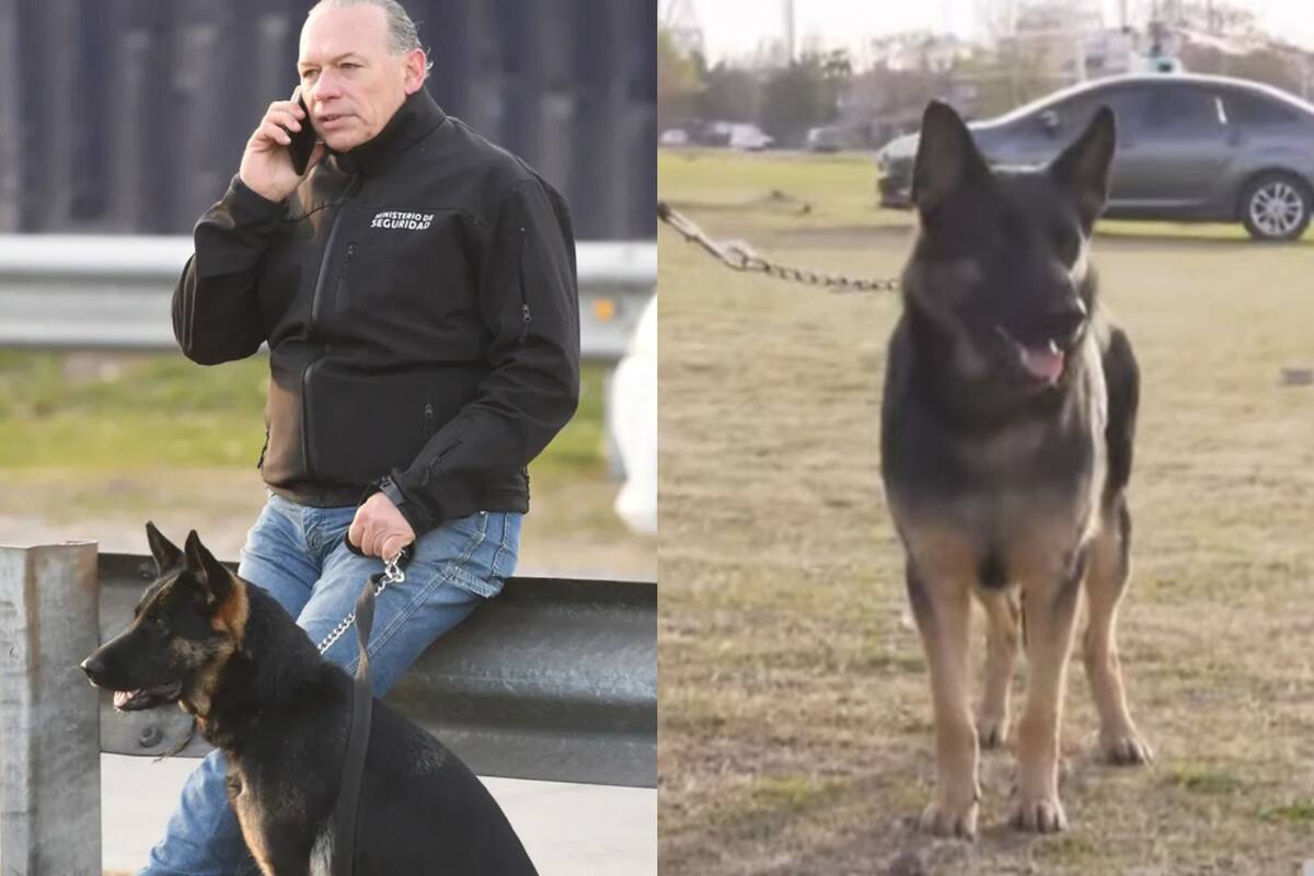 Luis Novaresio reveló el guiño que hay detrás del nombre de la perra que acompañaba al ministro de Seguridad bonaerense