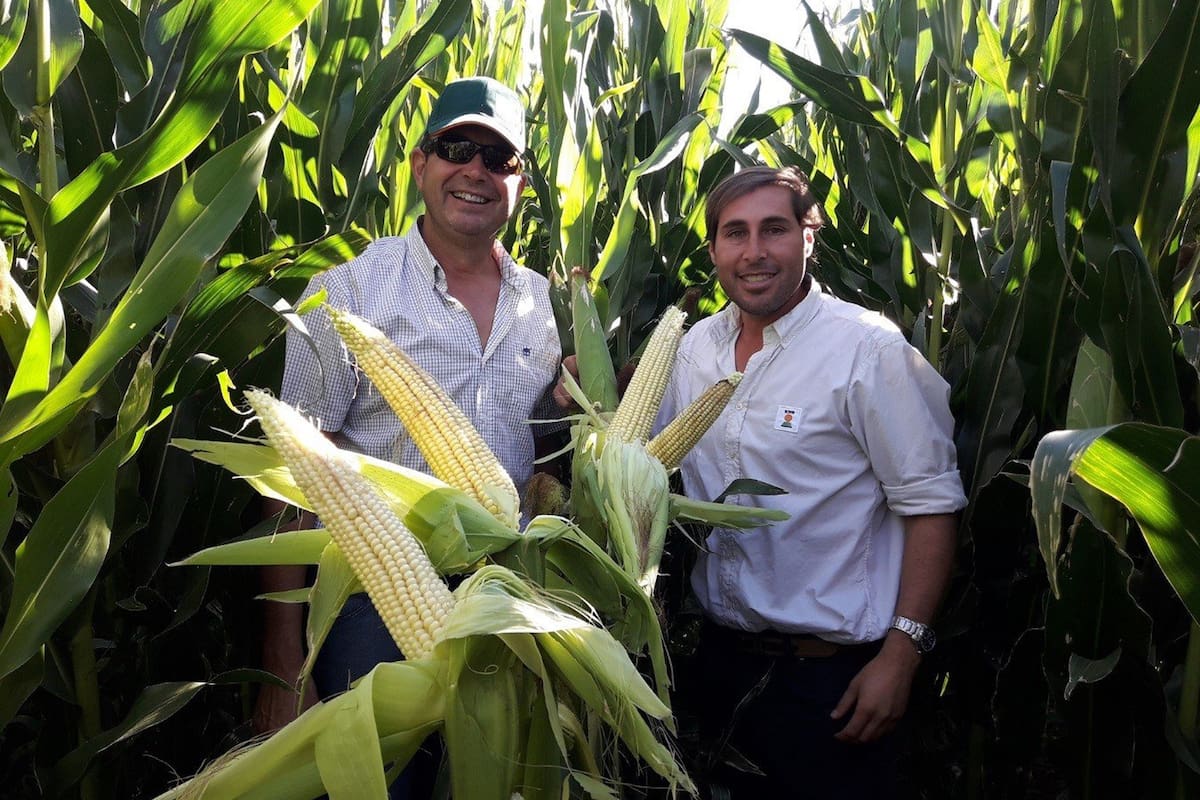 Luis Parra y Diego Albarracín