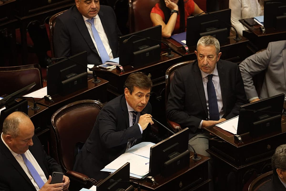 Luis Petcoff Naidenoff