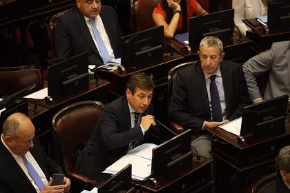 Luis Petcoff Naidenoff