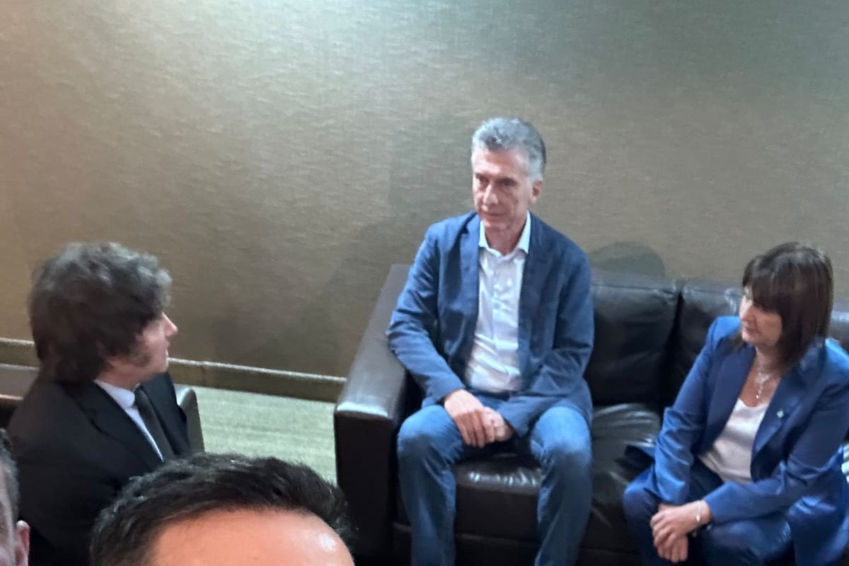 Luis Petri se toma una selfie con Milei, Macri y Bullrich de fondo