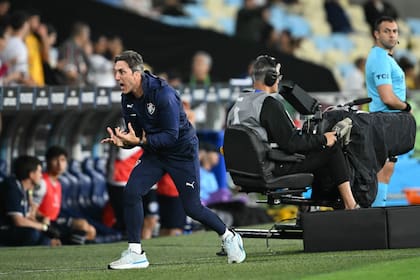 Luis Zubeldía dejó de ser el entrenador de Fluminense y aparece como otro candidato