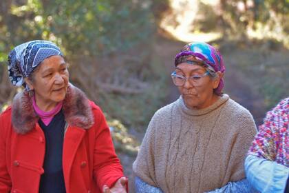 Luisa Quijada, Marta Ranquehue y Mirta Godoy, mujeres de las comunidades mapuches