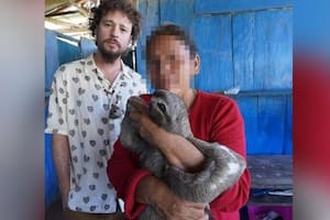 Luisito Comunica denunció a familias que tenían animales silvestres en sus hogares