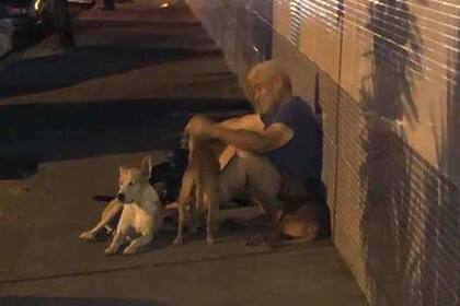 Luiz vive en la calle pero tiene seis perros. La noche que sufrió un accidente y fue internado, sus mascotas lo acompañaron y lo esperaron en la puerta del hospital.