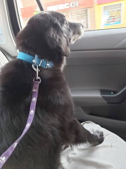 Luke fue adoptado por Sol.