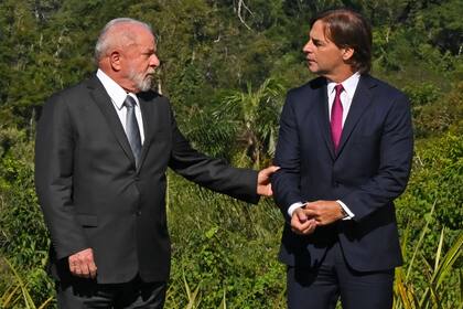 Lula da Silva y Lacalle Pou, en la última reunión del Mercosur, en la Argentina