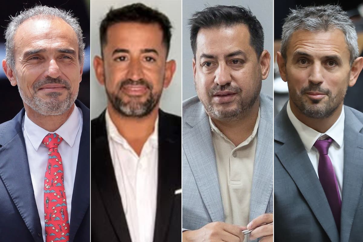 Lule Mene, Yamil Menem, Alfredo Menem y Martín Menem; Yamil y Alfredo son funcionarios de Quintela en La Rioja