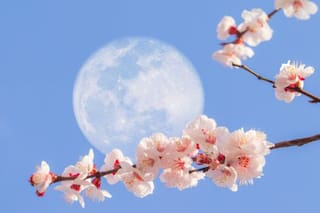 Superluna: qué tan brillante es y cómo ver esta semana la última del año