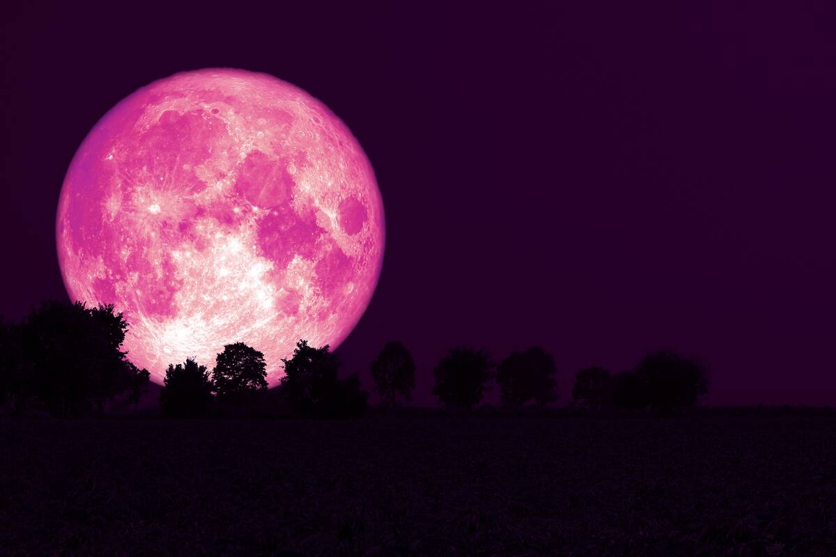 Luna fresa